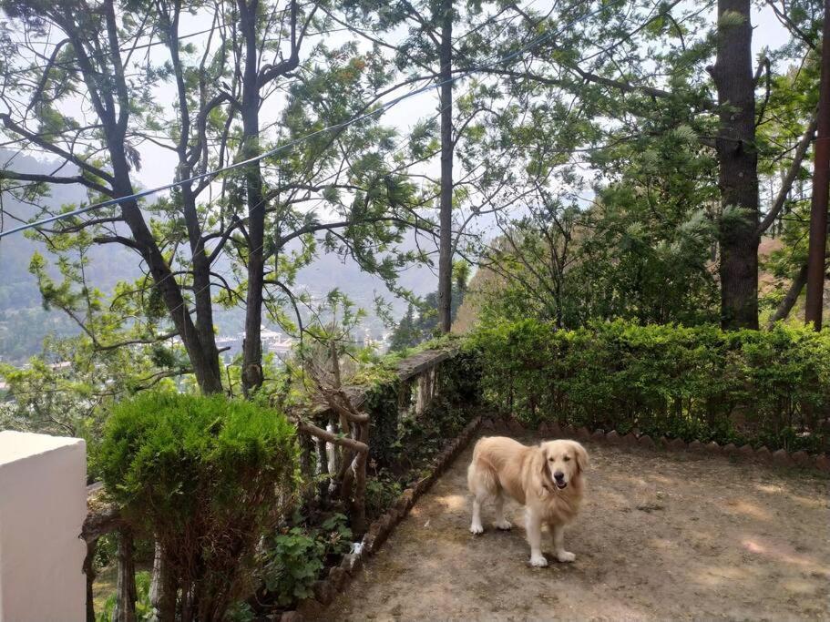 Whistling Thrush Cottage, Bhimtal Nainital Exterior photo